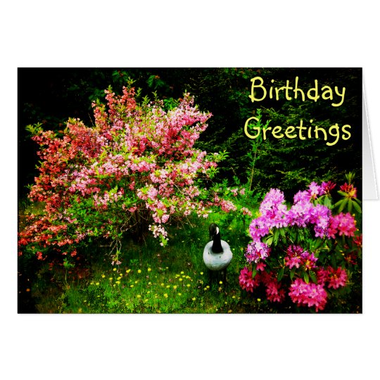 Birthday Greetings- Goose Card