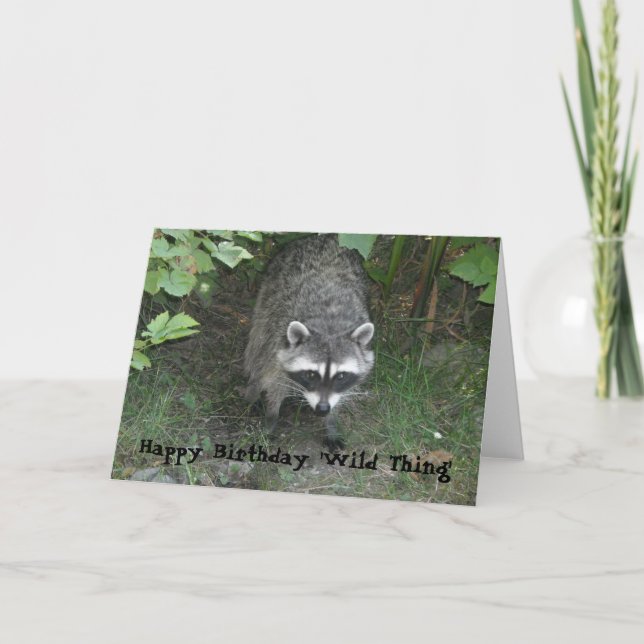 Birthday Greetings - Racoon Card (Front)