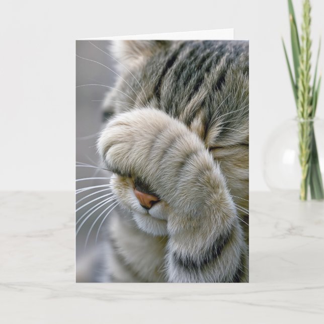 Birthday Grey Tabby Cat Getting Old Humour Card (Front)