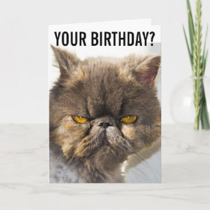 BIRTHDAY GRUMPY PERSIAN CAT FUNNY Greeting Card