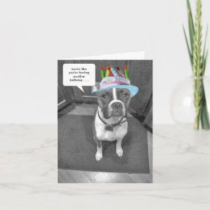 Birthday Hat Brindle Boxer Card