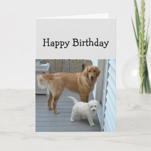 Birthday Help to Eat Cake Cute Dog Humour Card