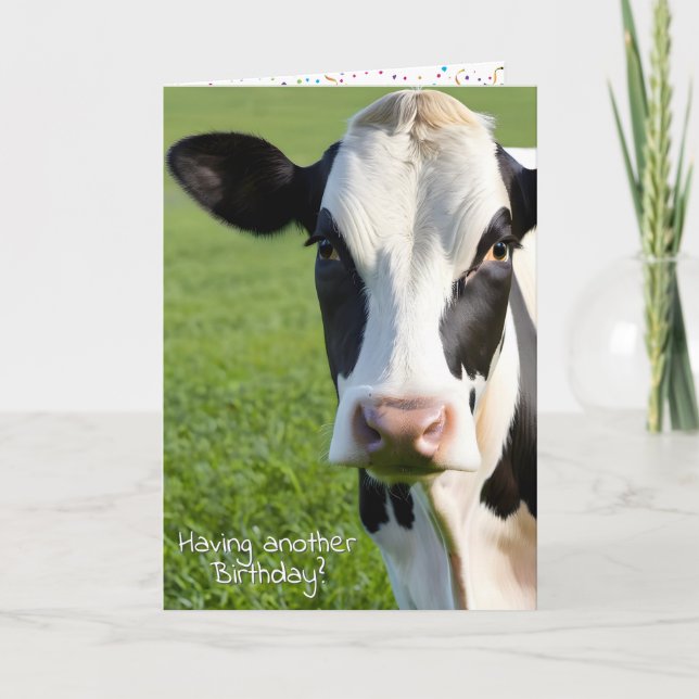 Birthday Holstein Cow Humour Card (Front)