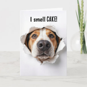 Birthday Hound Dog In Paper Hole Card