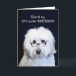 BIRTHDAY - HUMOR W/DOG/BLACK-RIM GLASSES CARD<br><div class="desc">SEE SAME IMAGE WITH OTHER SAYINGS: Check out all in the DOG HUMOR COLLECTION in my site.</div>