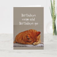 Birthday Humour 50th Over the Hill Disgusted Cat