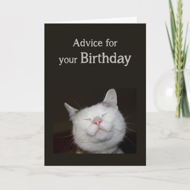 Birthday Humour Cute Cat Inspirational Humour Advi Card (Front)