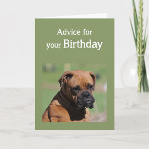 Birthday Humour Cute Dog Older need to be Wiser Card