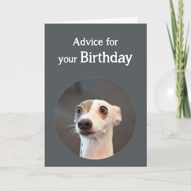 Birthday Humour Cute Dog Too Much Coffee Humour Card (Front)