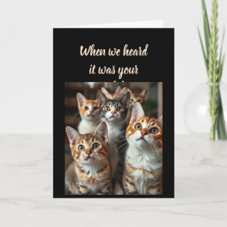 Birthday Humour From all of Us Cute Cats Card