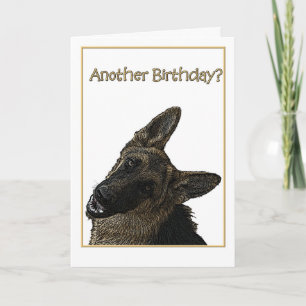 Birthday Humour German Shepherd Illustration Card