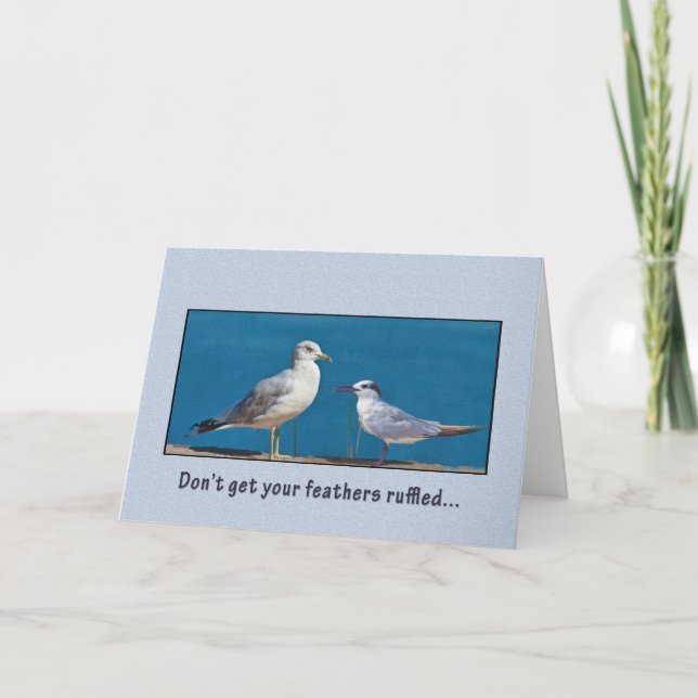 Birthday, Humour, Gull and Tern Birds Card (Front)