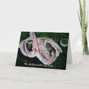 Birthday Humour Poppies At Night Card