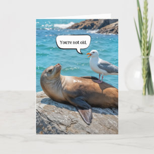 Birthday Humour Seagull Perched On a Sea Lion Card