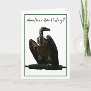 Birthday Humour Vulture Illustration Card