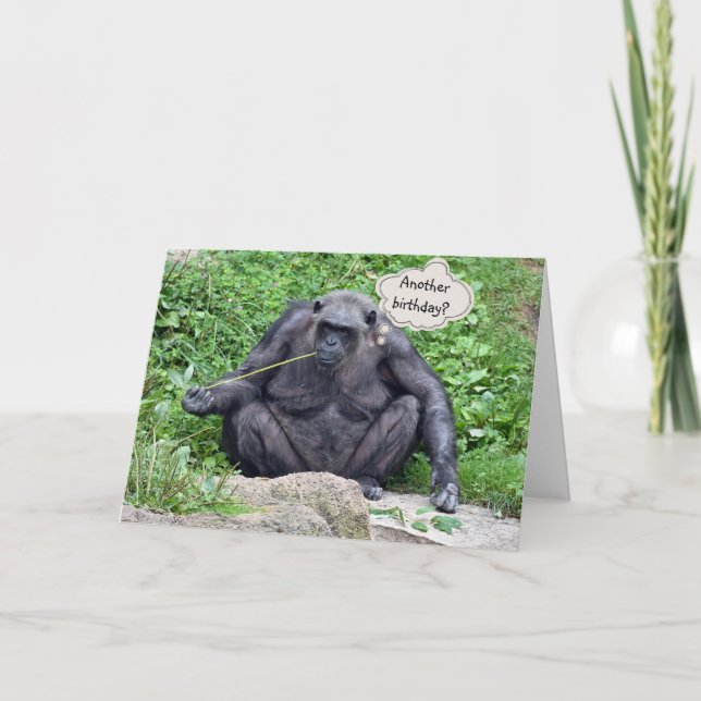 Birthday humour with chimpanzee card (Front)