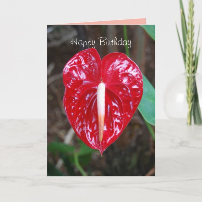 Birthday Husband Red Heart Anthurium Lily Flower C Card (Front)