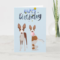 Birthday Ibizan Hound Dog Animal Bubble Gum