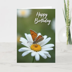 Birthday Illustration Insect Card