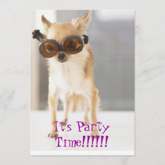 Birthday Invations Invitation