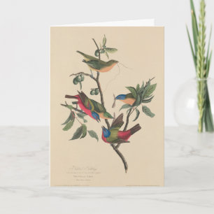 Birthday invitation Havell Audubon Painted Buntin