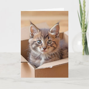 Birthday Kitten In a Cardboard Box Card