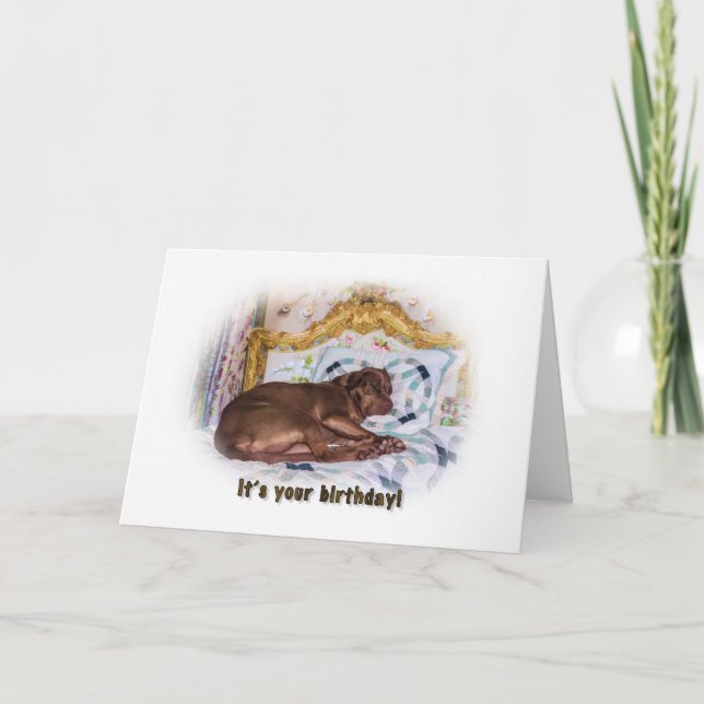 Birthday,  Labrador Retriever Dog, Card (Front)
