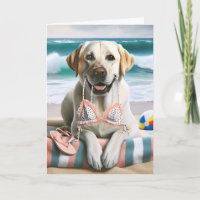 Birthday Labrador Retriever With Bikini Top