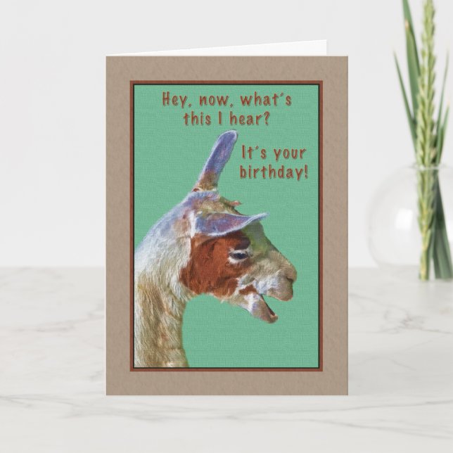 Birthday, Laughing Llama Card (Front)