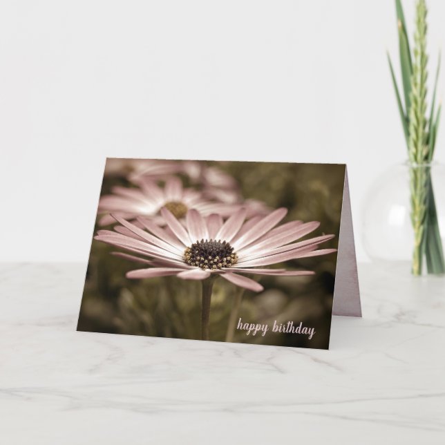 Birthday Macro Pink Daisy Card (Front)