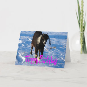 Birthday, Minnie the Goat in Snow Card