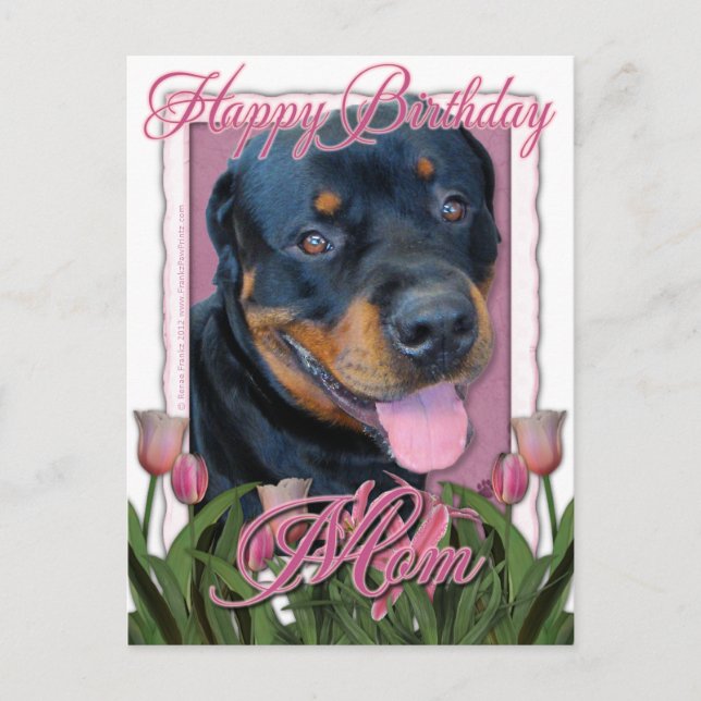 Birthday MOM - Pink Tulips - Rottweiler - Harley Postcard (Front)
