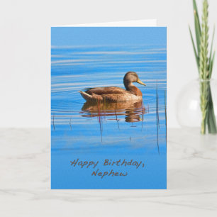 Birthday, Nephew, Mallard Duck Card