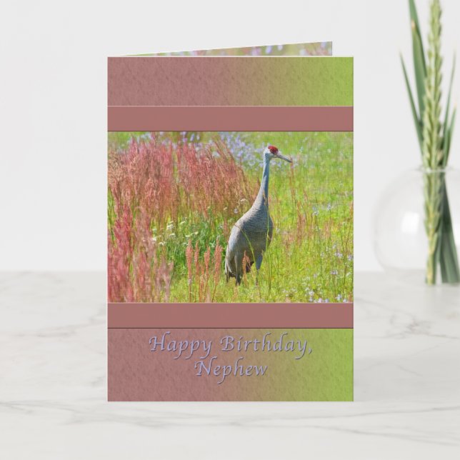 Birthday, Nephew,  Sandhill Crane Bird Card (Front)