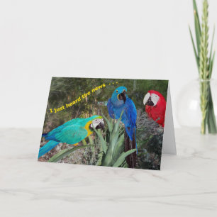Birthday News Card