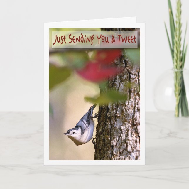 Birthday - Nuthatch Greeting Card (Front)