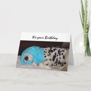 Birthday Old Age Not Happy, Humour with Dog Card