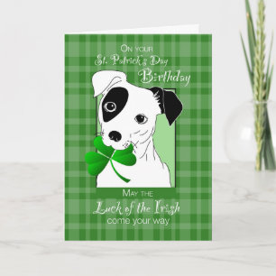 Birthday on St. Patrick's Day Jack Russell Terrier Card