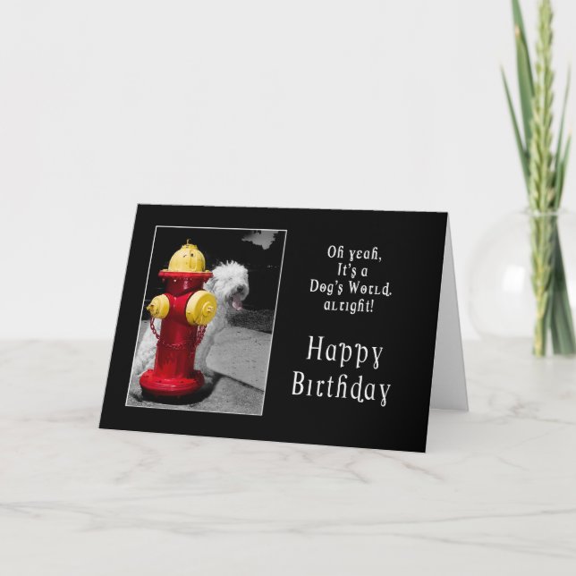 BIRTHDAY - ONE LUCKY DOG - HYDRANT/DOG CARD (Front)