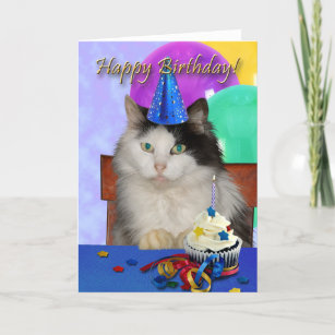 Birthday Oreo Spotted Cat Greeting Card