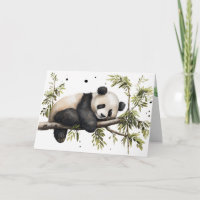 Birthday Panda Bear In Tree