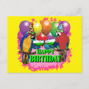 BIRTHDAY PARROTS POSTCARD