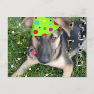 Birthday Party Animal German Shepherd Postcard