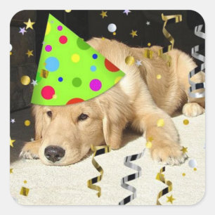 Birthday Party Animal Golden Retriever Square Sticker