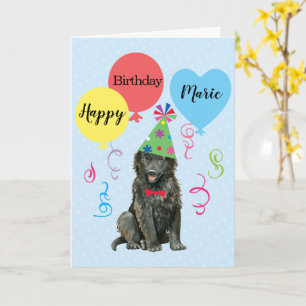 Birthday Party Balloons Belgian Sheepdog Card