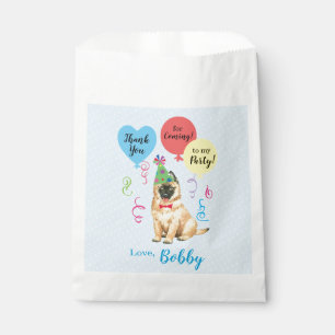 Birthday Party Balloons Tervuren Favour Bags