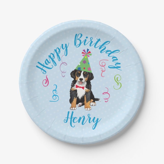 Birthday Party Berner Paper Plate (Front)