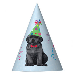 Birthday Party Black Lab Party Hat