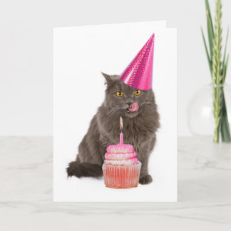 Birthday Party Cat Greeting Card