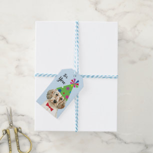 Birthday Party English Setter Gift Tags